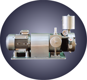 ROTARY VANE VACUUM PUMPS